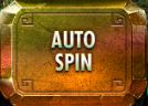 Autospin